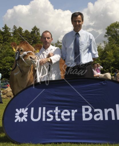 All Ireland Limousin Ulster Bank Heifer Derby qualifier, Carrickaldeen Duchess owned by Peter Murphy with Cormac McKevley Ulster Bank